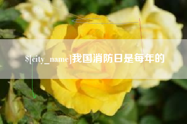 常州我国消防日是每年的