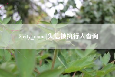 常州失信被执行人杳询