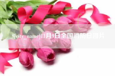 常州11月9日全国消防日图片