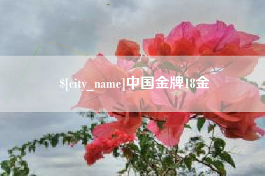 常州中国金牌18金