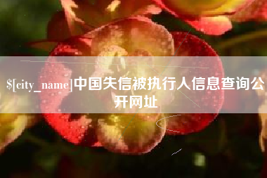 常州中国失信被执行人信息查询公开网址