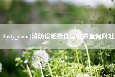 常州消防设施操作员证书查询网址