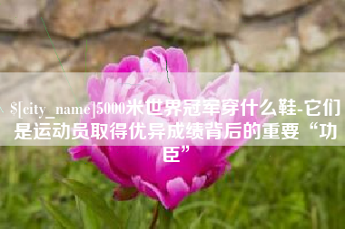 常州5000米世界冠军穿什么鞋-它们是运动员取得优异成绩背后的重要“功臣”