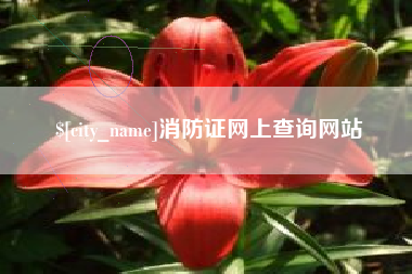 常州消防证网上查询网站