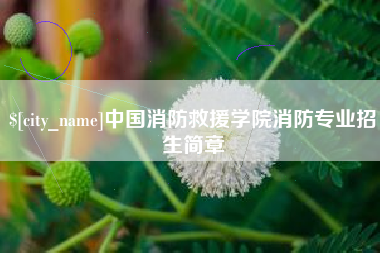 常州中国消防救援学院消防专业招生简章