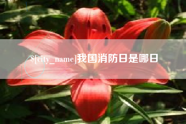 常州我国消防日是哪日
