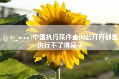 常州中国执行案件查询公开网都是执行不了得案子