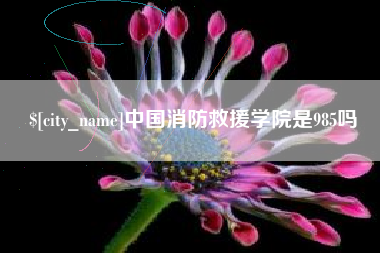 常州中国消防救援学院是985吗