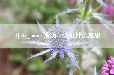 常州消防ccc认证什么意思