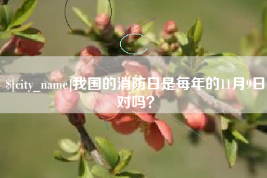常州我国的消防日是每年的11月9日对吗？