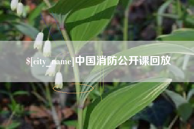 常州中国消防公开课回放