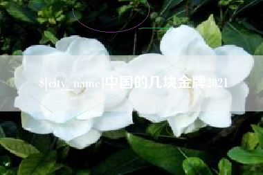 常州中国的几块金牌2021