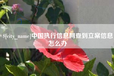 常州中国执行信息网查到立案信息怎么办