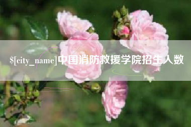 常州中国消防救援学院招生人数