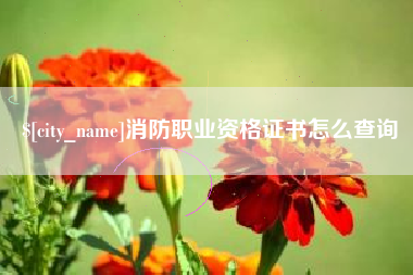 常州消防职业资格证书怎么查询