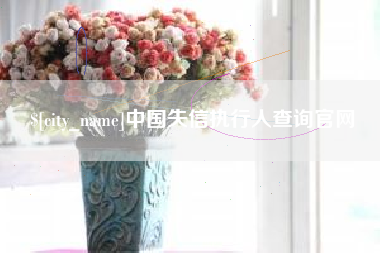 常州中国失信执行人查询官网