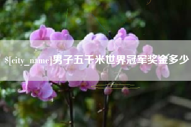 常州男子五千米世界冠军奖金多少