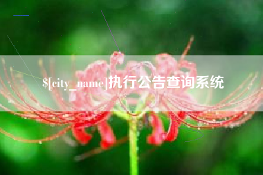 常州执行公告查询系统