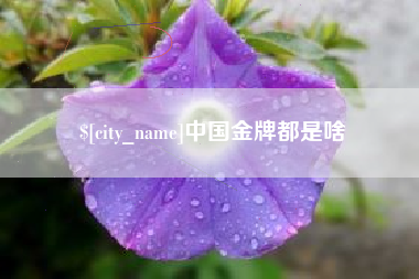 常州中国金牌都是啥