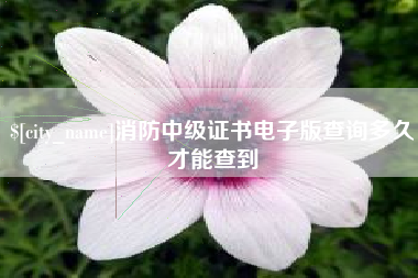 常州消防中级证书电子版查询多久才能查到