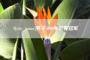 常州男子5000米世界冠军