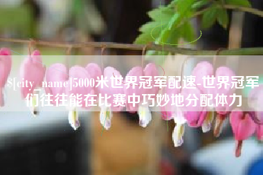 常州5000米世界冠军配速-世界冠军们往往能在比赛中巧妙地分配体力