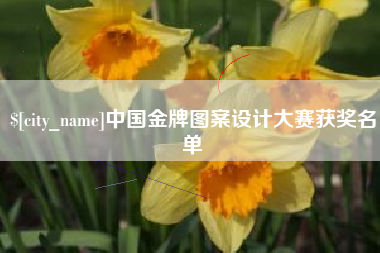 常州中国金牌图案设计大赛获奖名单