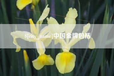 常州中国金牌包括