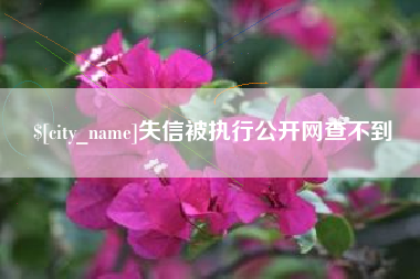常州失信被执行公开网查不到