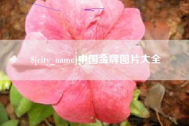 常州中国金牌图片大全