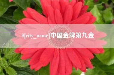 常州中国金牌第九金