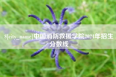 常州中国消防救援学院2024年招生分数线