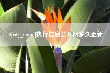 常州执行信息公开网多久更新