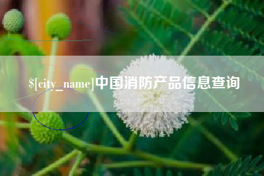常州中国消防产品信息查询