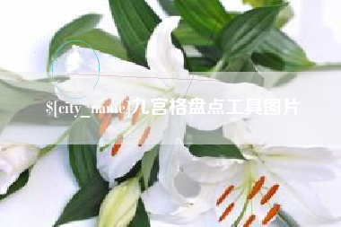 常州九宫格盘点工具图片