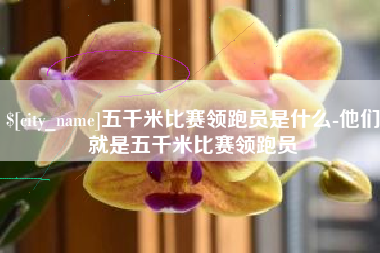常州五千米比赛领跑员是什么-他们就是五千米比赛领跑员