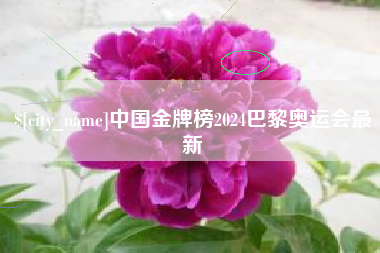 常州中国金牌榜2024巴黎奥运会最新