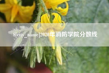 常州2020年消防学院分数线