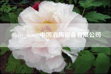 常州中国消防设备有限公司