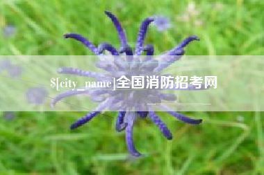 常州全国消防招考网