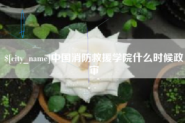 常州中国消防救援学院什么时候政审