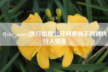 常州执行信息公开网查询不到被执行人信息