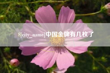 常州中国金牌有几枚了