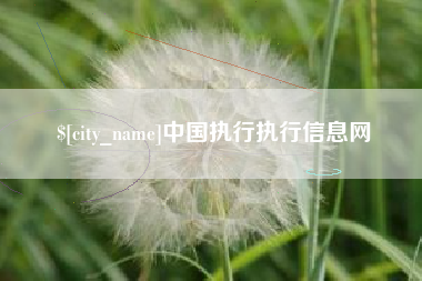 常州中国执行执行信息网
