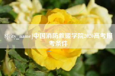 常州中国消防救援学院2020高考报考条件