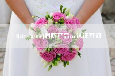 常州消防产品ccc认证查询