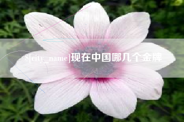 常州现在中国哪几个金牌