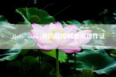 常州消防证国网查询操作证