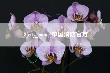 常州中国消防官方