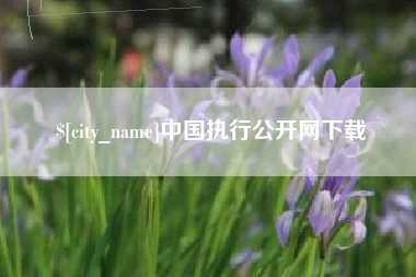 常州中国执行公开网下载
